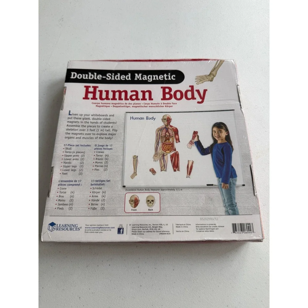 Learning Resources Double-Sided Magnetic Human Body LER 6044 Anatomy Set New